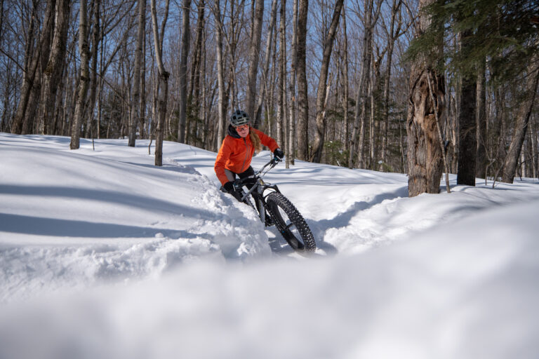 MASTODON Rider Image